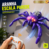 ARANHA ESCALA PAREDE