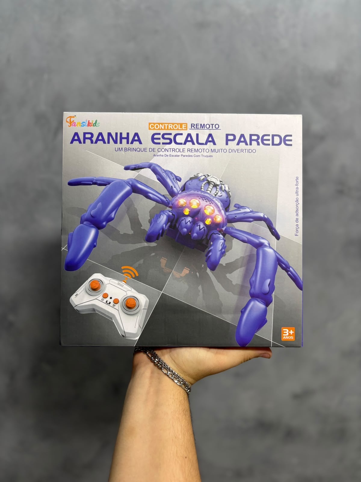 ARANHA ESCALA PAREDE