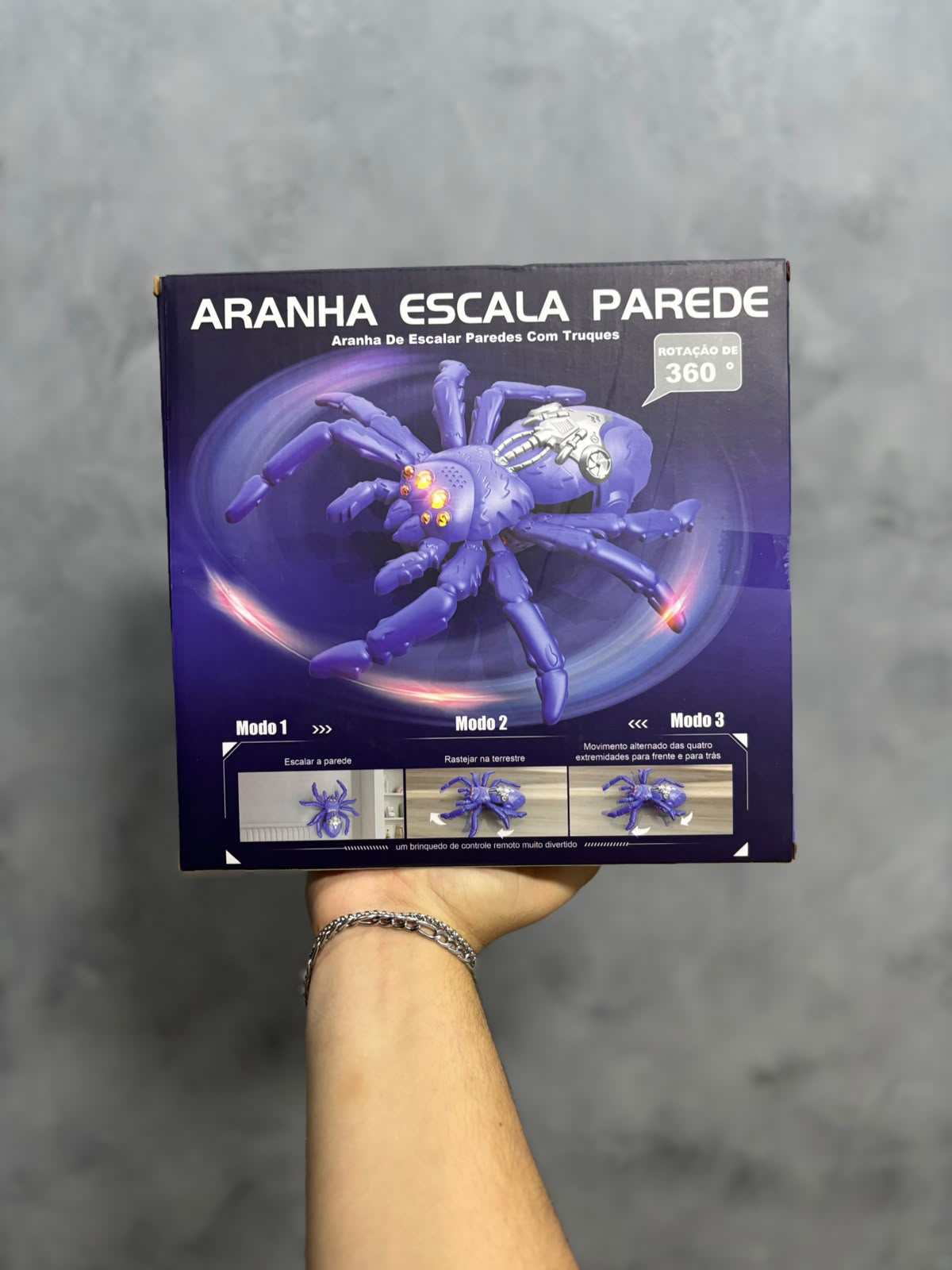 ARANHA ESCALA PAREDE